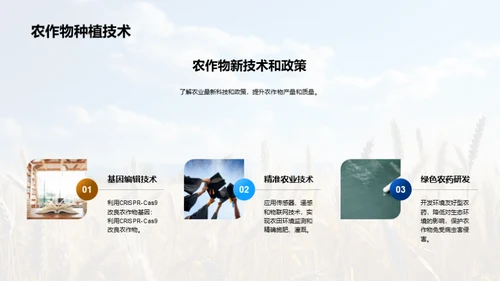 农业种植：智慧之选