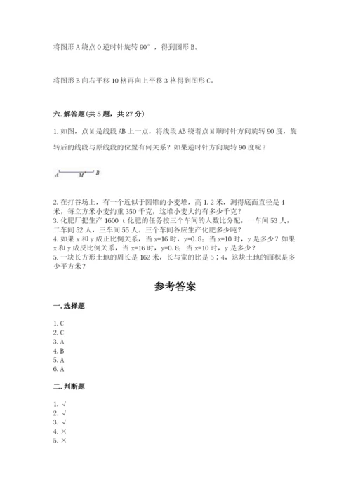 北师大版数学六年级下册期末测试卷精编.docx