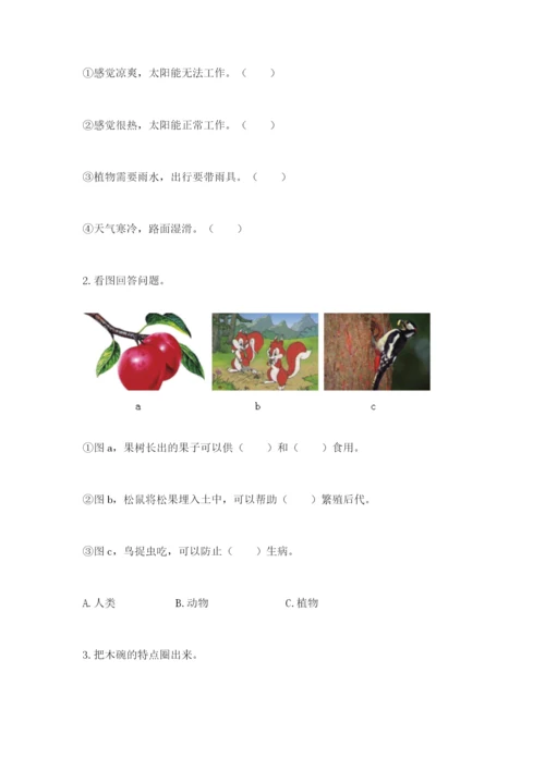 教科版二年级上册科学期末测试卷精品【模拟题】.docx