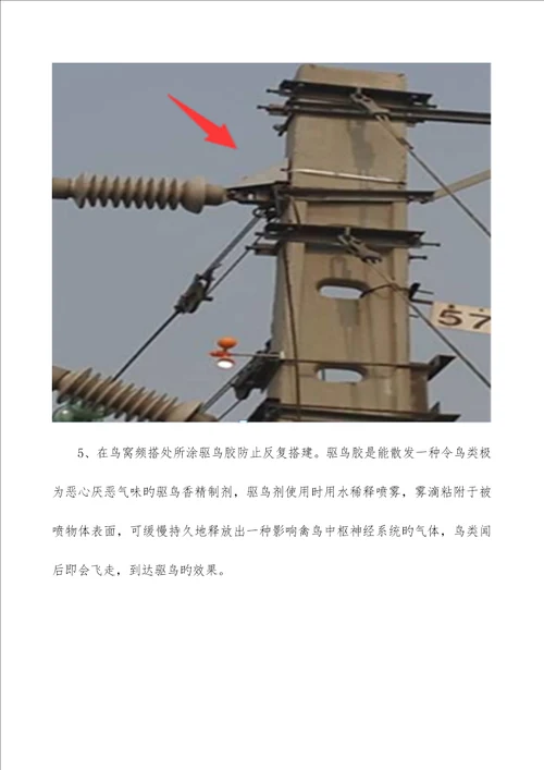 供电线路鸟害及其防治措施