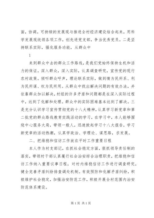 村党支部书记述职述廉报告 (2).docx