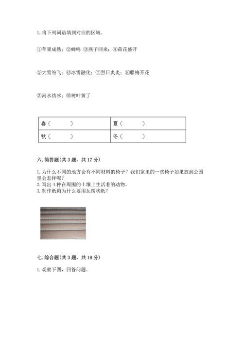 教科版科学二年级上册《期末测试卷》精品（a卷）.docx