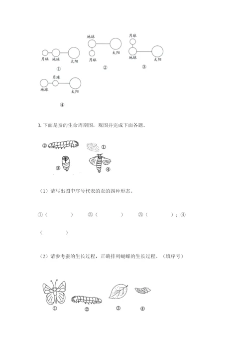 教科版科学三年级下册 期末测试卷精品【黄金题型】.docx