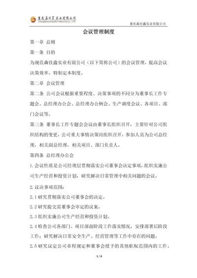 公司及项目会议管理制度..docx