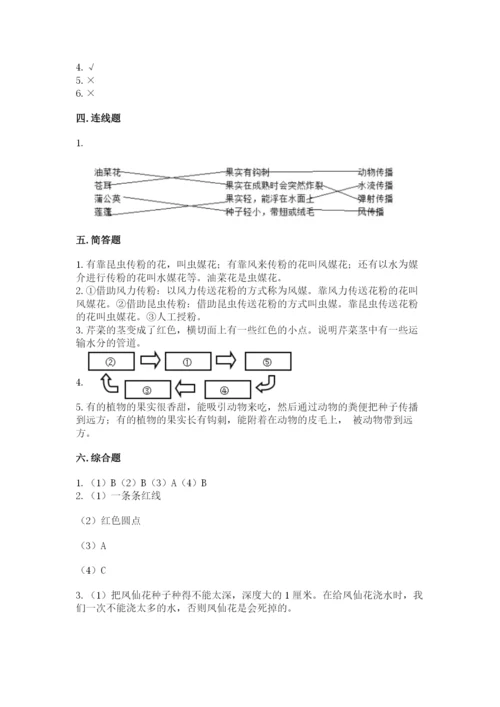科学四年级下册第一单元植物的生长变化测试卷（全优）.docx