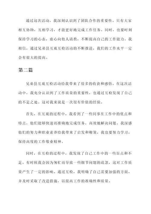 考察兄弟县互观互检感想