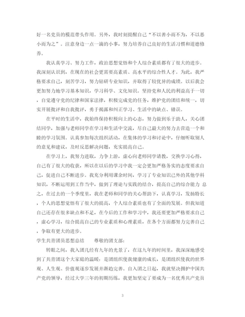 精编之大学生团员年度个人总结范文.docx