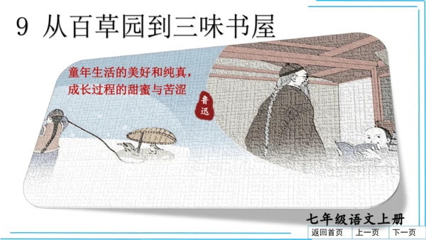 七上语文期中期末复习2_3词语运用每课晨读 课件(共47张PPT)