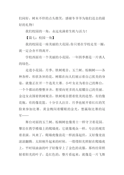 小学四年级校园一角.docx