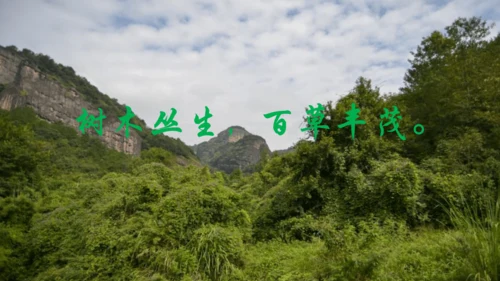 第4课《古代诗歌四首》课件