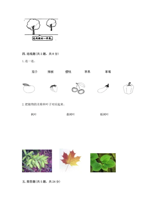 教科版一年级上册科学期末测试卷（名校卷）.docx