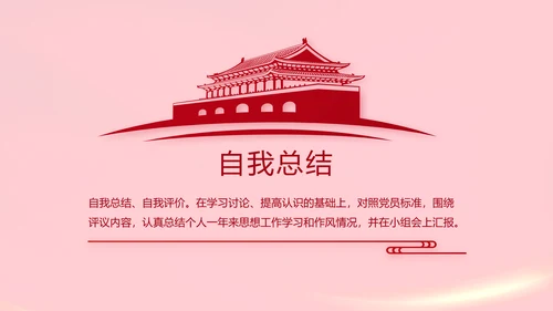 红色党支部党员代表大会工作总结PPT