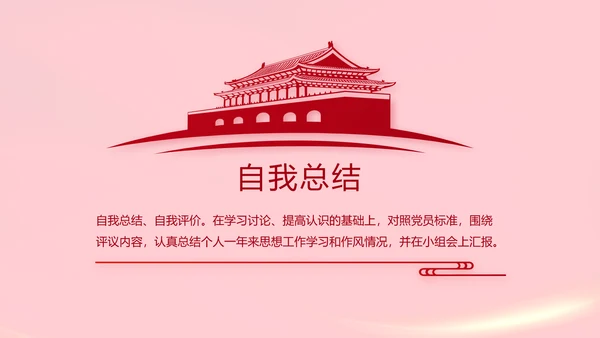 红色党支部党员代表大会工作总结PPT