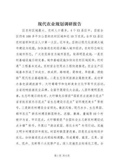 现代农业规划调研报告.docx