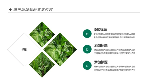 中国人寿保险公司年中工作总结工作计划PPT