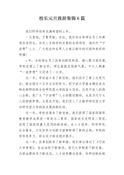 校长元旦致辞集锦6篇.docx