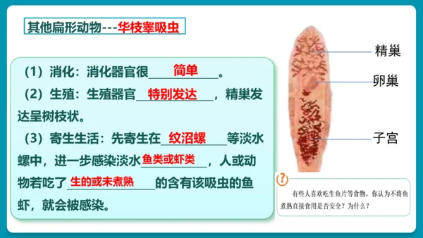 第一章动物的主要类群（复习课件）-八年级生物上册同步教学精制课件（人教版）(共25张PPT)