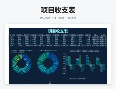 项目收支表