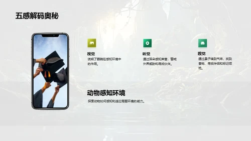 探秘动物世界
