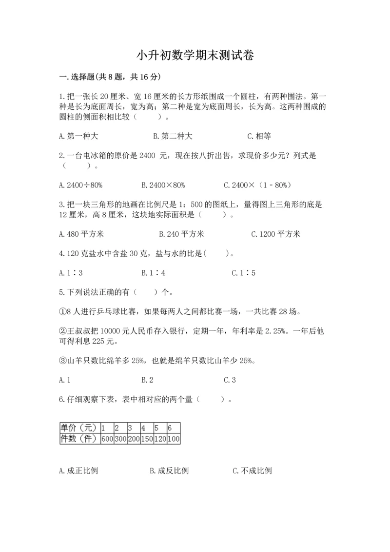 小升初数学期末测试卷审定版.docx