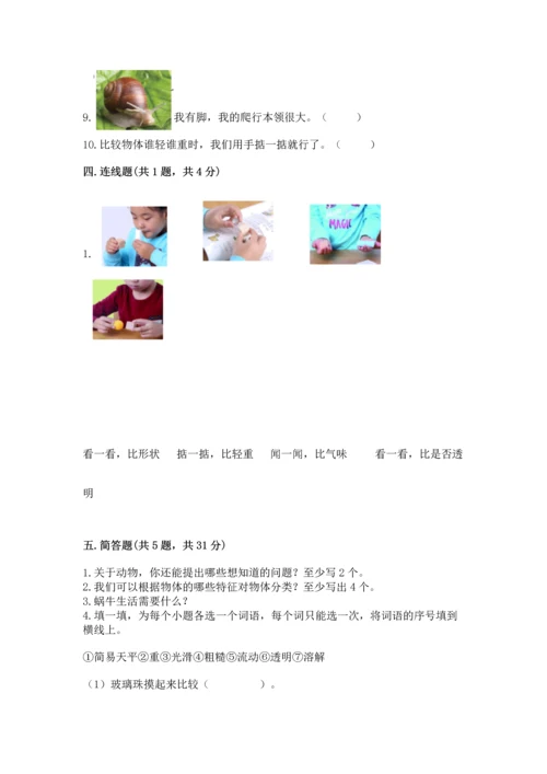 教科版一年级下册科学期末测试卷附参考答案（轻巧夺冠）.docx