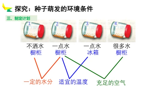 3.2.1 种子的萌发 2023-2024学年七年级生物上册精品教学课件（人教版）(共19张PPT)