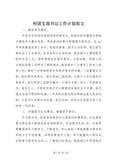 村团支部书记工作计划范文 (2).docx