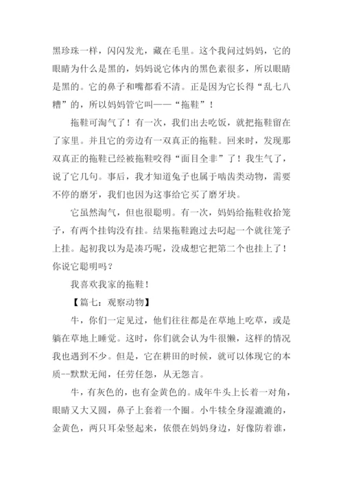 三年级作文观察动物.docx