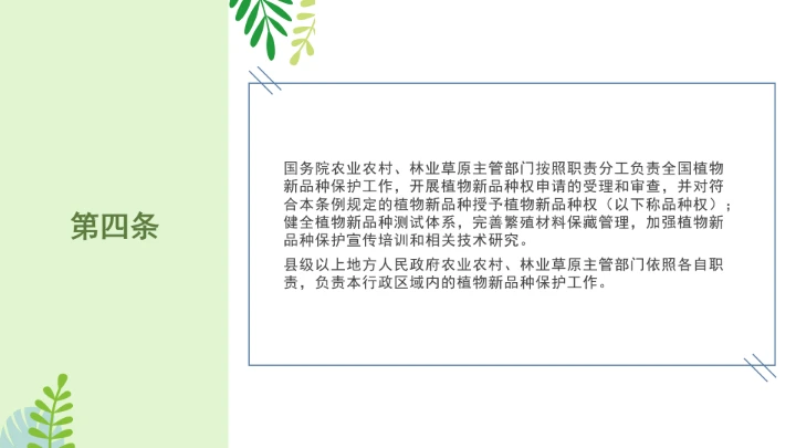 普法全文学习2025年4月新修订《中华人民共和国植物新品种保护条例》PPT课件
