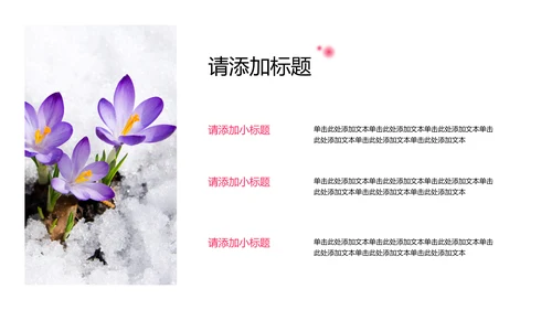 中国风粉色梅花主题小寒节气介绍PPT