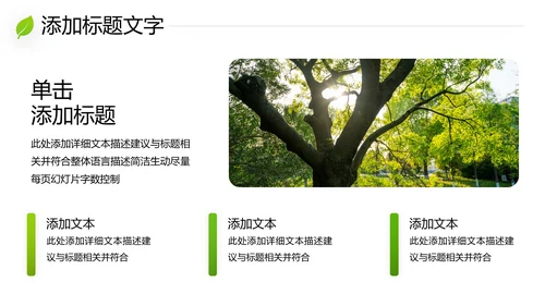 绿色环保森林湿地环境保护生态森林业PPT