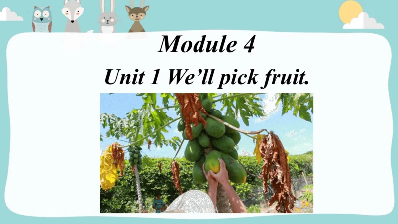 Module4Unit1 We'll pick fruit.课件(共31张PPT)