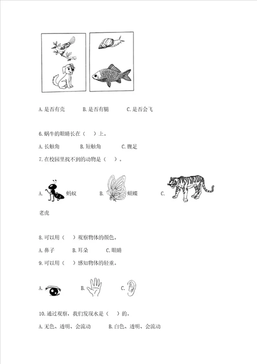 教科版一年级下册科学期末测试卷带答案实用