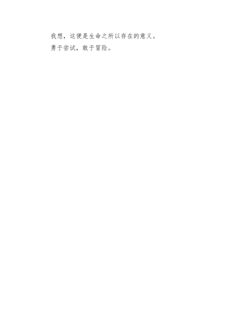 敢于尝试议论文3篇（精选文档）.docx