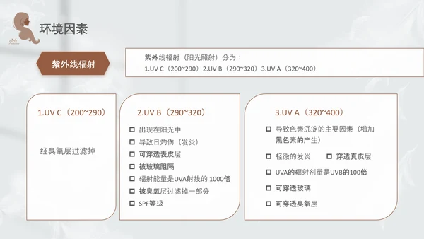 高级灰和棕色简约实拍风美容护肤美容知识培训PPT
