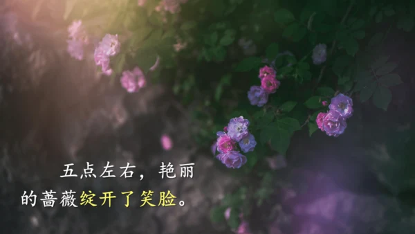 13《花钟》（课件）