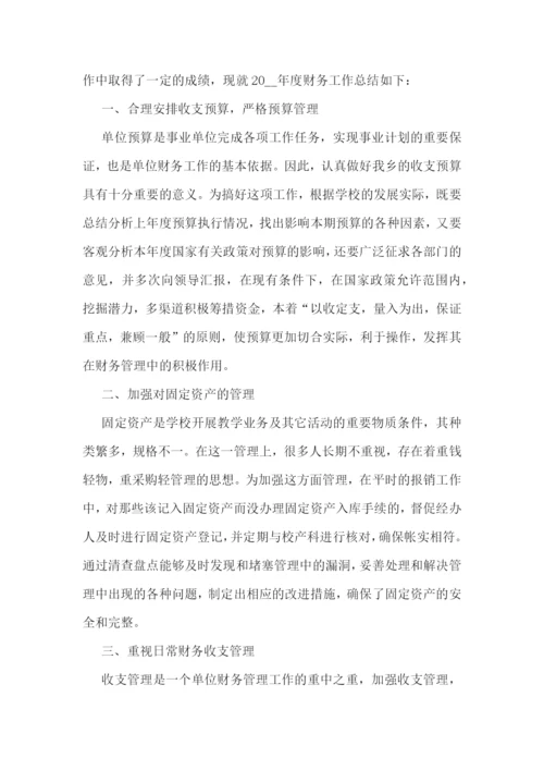 学校财务老师个人年度总结.docx