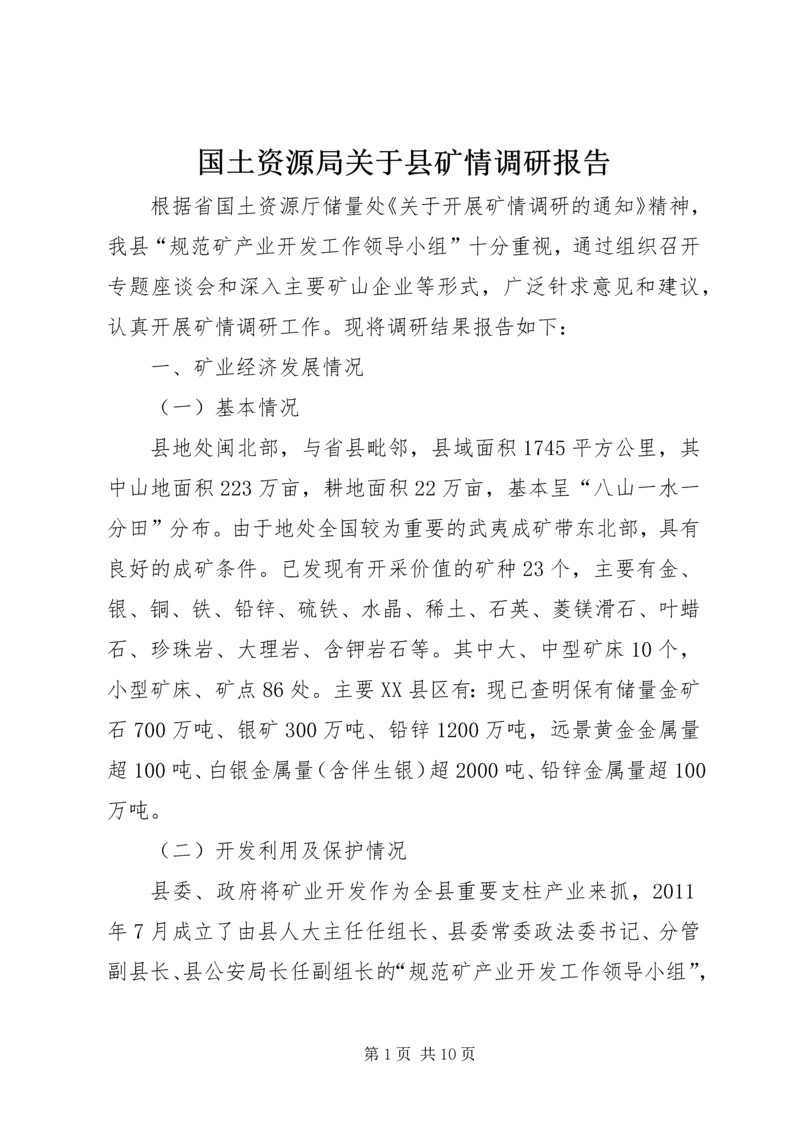 国土资源局关于县矿情调研报告.docx