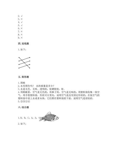 教科版一年级下册科学期末测试卷精品【典优】.docx