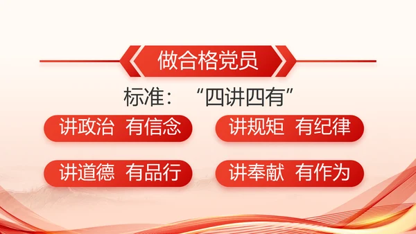 红色党建党支部述职报告PPT党课