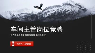 车间主管岗位竞聘飞鹰通用PPT模板