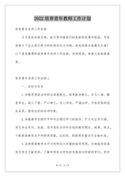 2022培养青年教师工作计划.docx