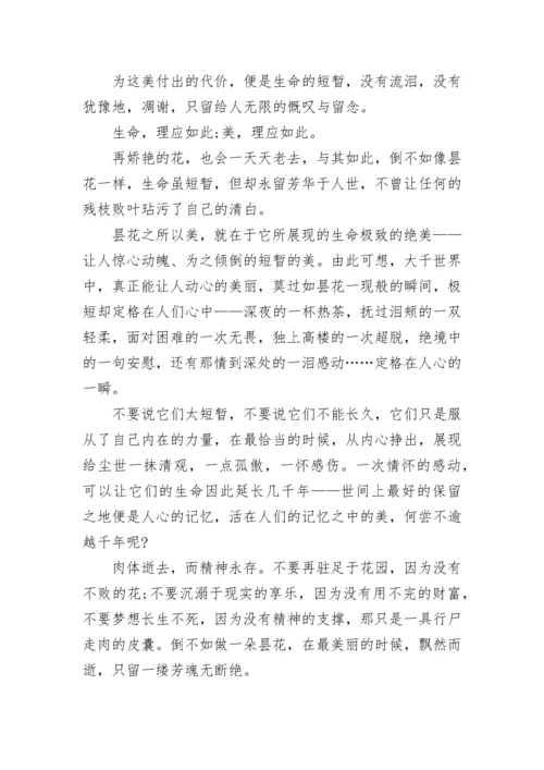 关于美话题的作文700字5篇.docx