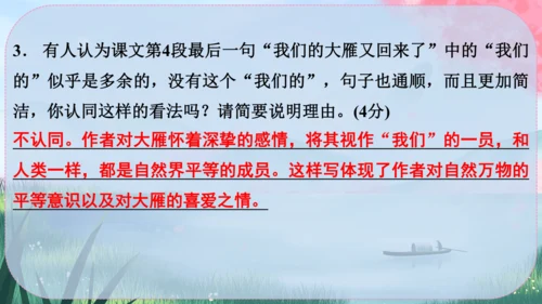 19《大雁归来》课件