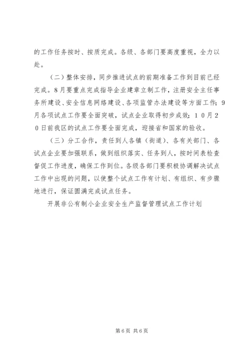 开展非公有制小企业安全生产监督管理试点工作计划 (4).docx