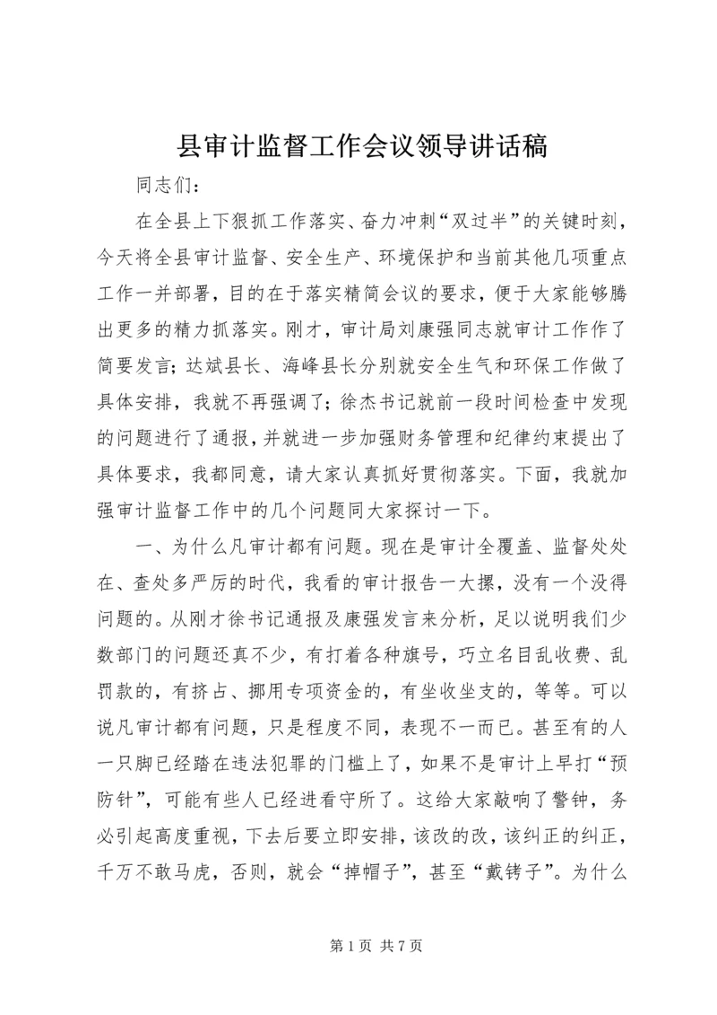 县审计监督工作会议领导讲话稿.docx