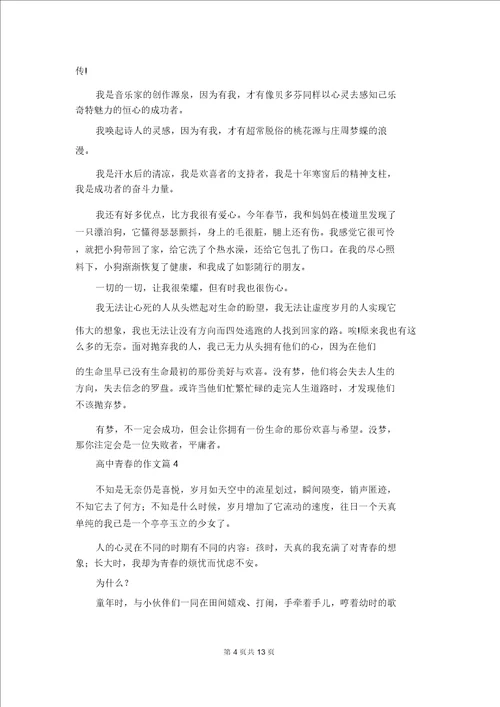 关于高中青春的作文八篇1