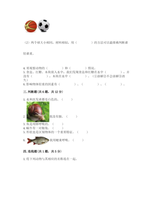 教科版小学科学一年级下册期末测试卷a4版.docx