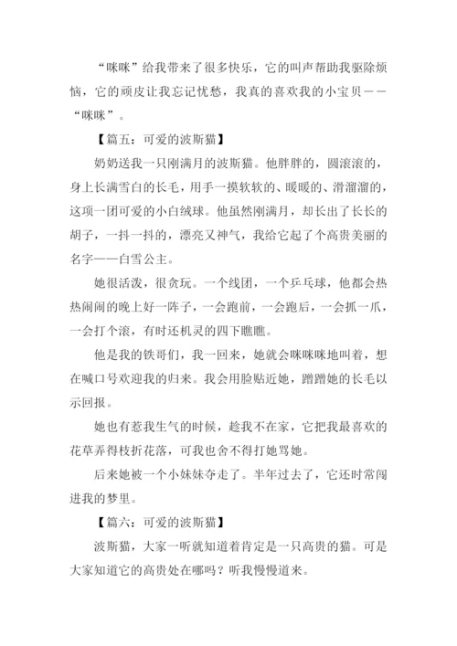波丝猫作文0.docx