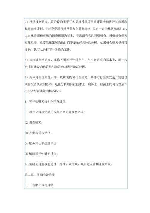 房地产专项项目开发标准流程全过程.docx